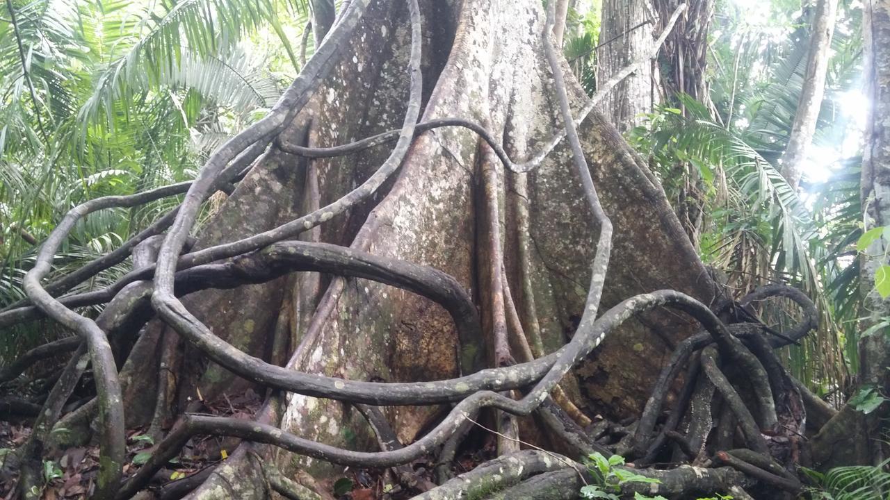 Casa Sandoval Villa Puerto Maldonado Ngoại thất bức ảnh